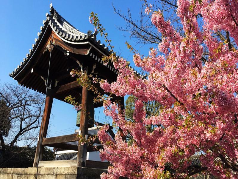 Stay Sakura Kyoto Toji West I Eksteriør bilde