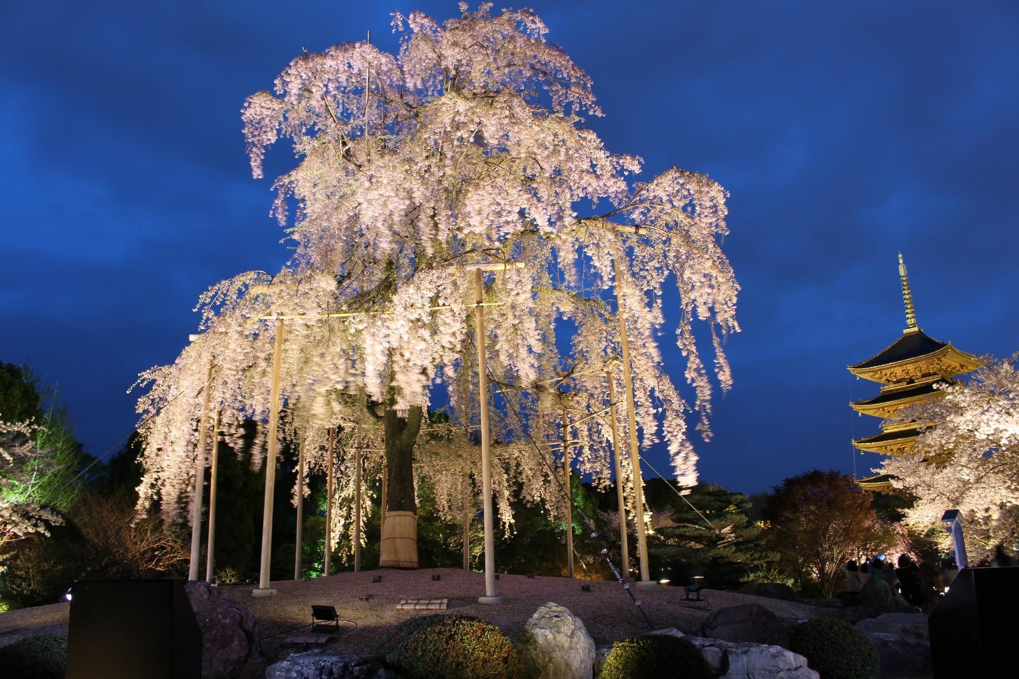 Stay Sakura Kyoto Toji West I Eksteriør bilde