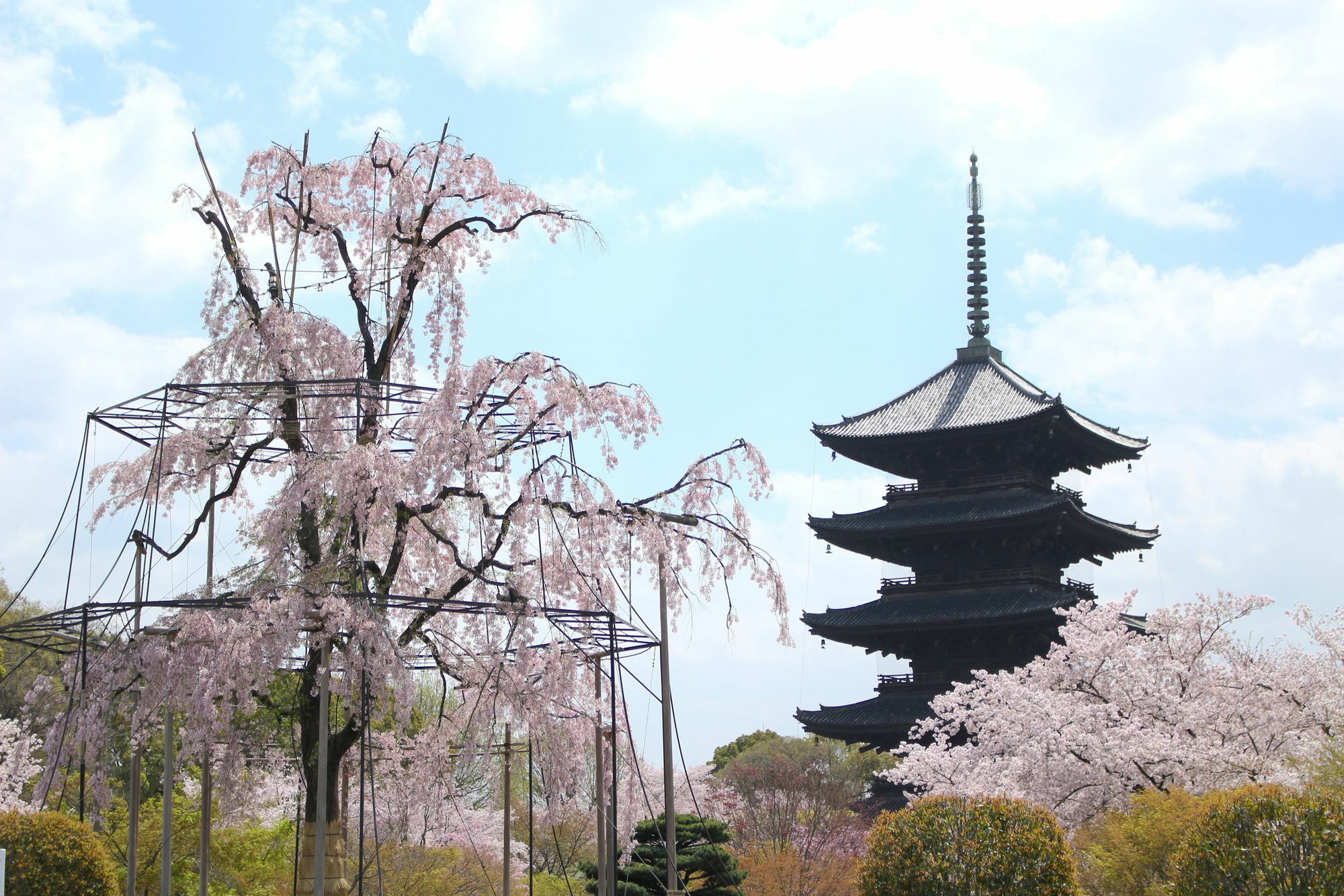 Stay Sakura Kyoto Toji West I Eksteriør bilde