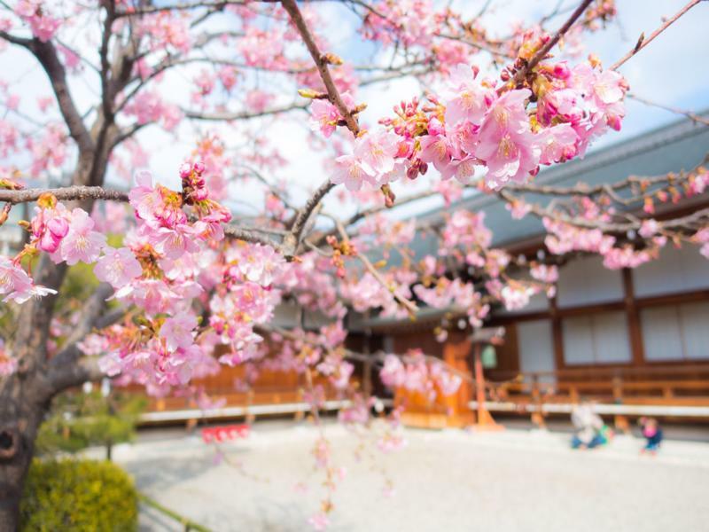 Stay Sakura Kyoto Toji West I Eksteriør bilde