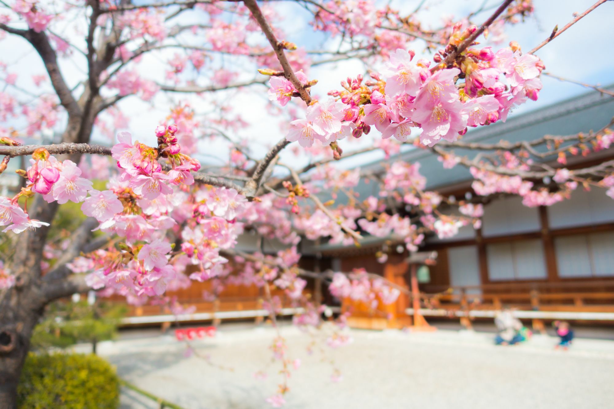 Stay Sakura Kyoto Toji West I Eksteriør bilde